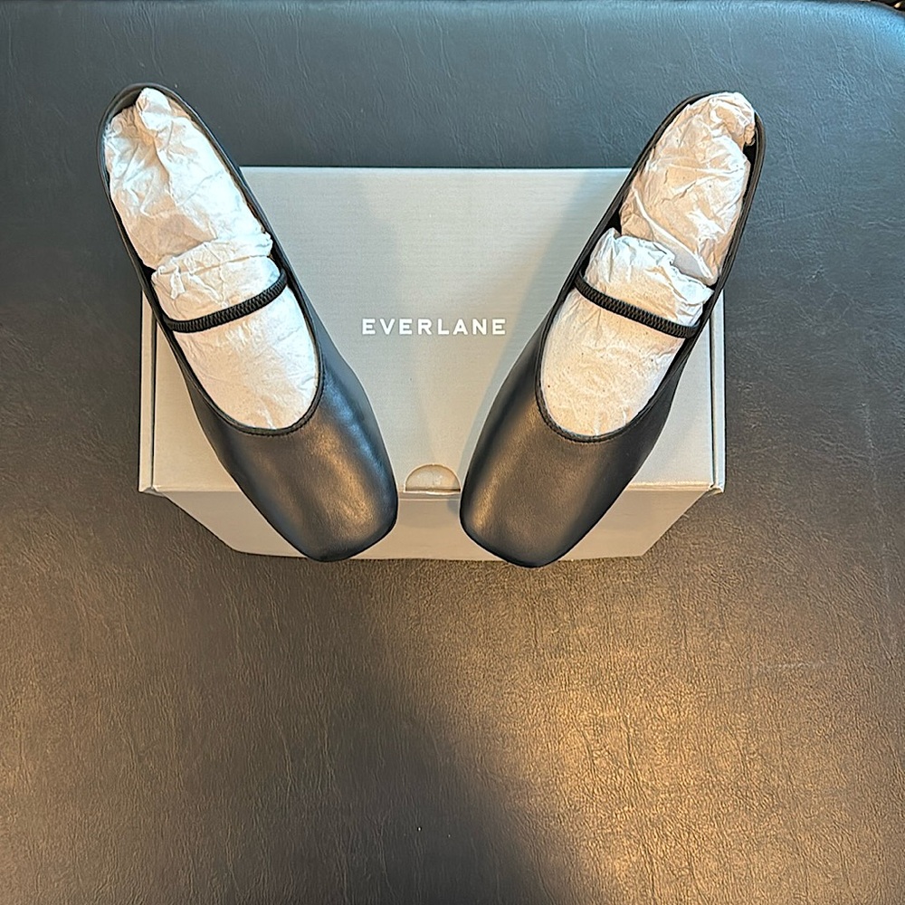 NWT and in box - Everlane leather flats